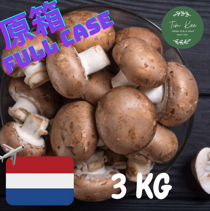 荷蘭空運直送 皇牌蘑菇散裝 原箱 3公斤